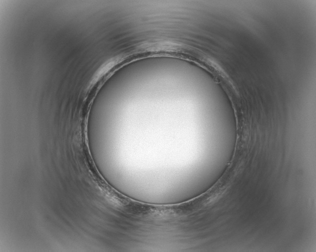 X0000078280978200611172052