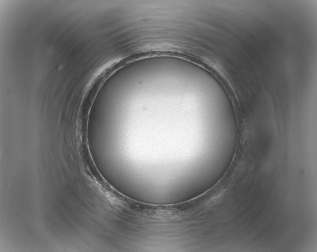 X0000078280979200611172052