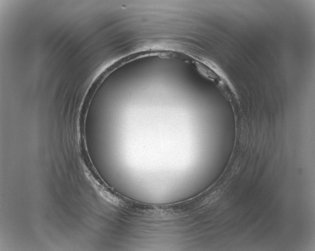 X0000078280980200611172052