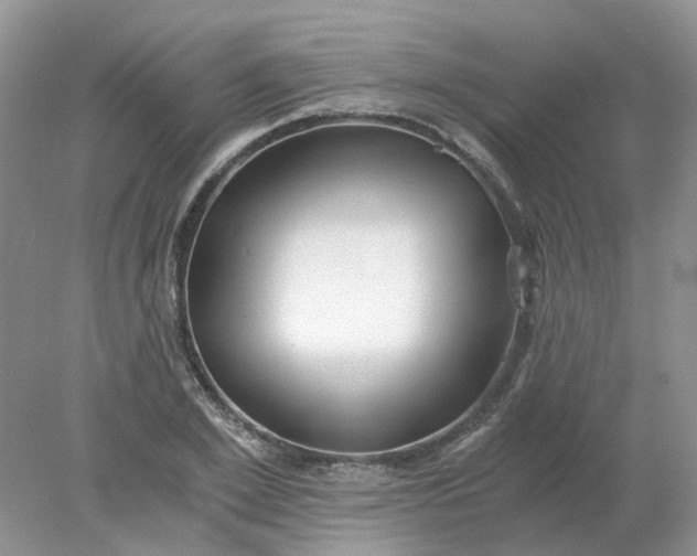 X0000078280981200611172052