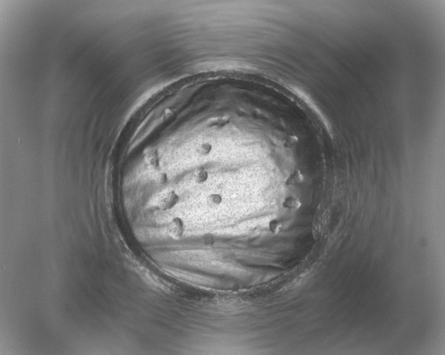 X0000078280983200611172052