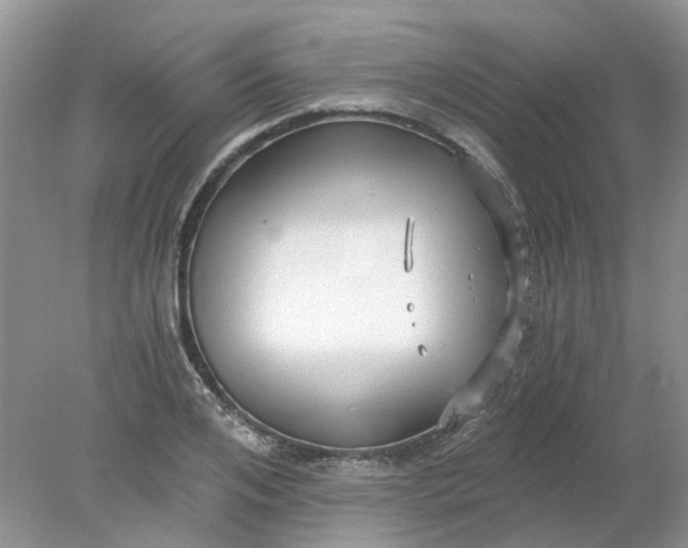 X0000078280984200611172052