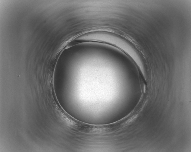 X0000078280985200611172052