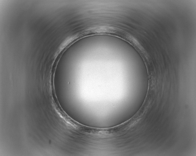 X0000078280986200611172052