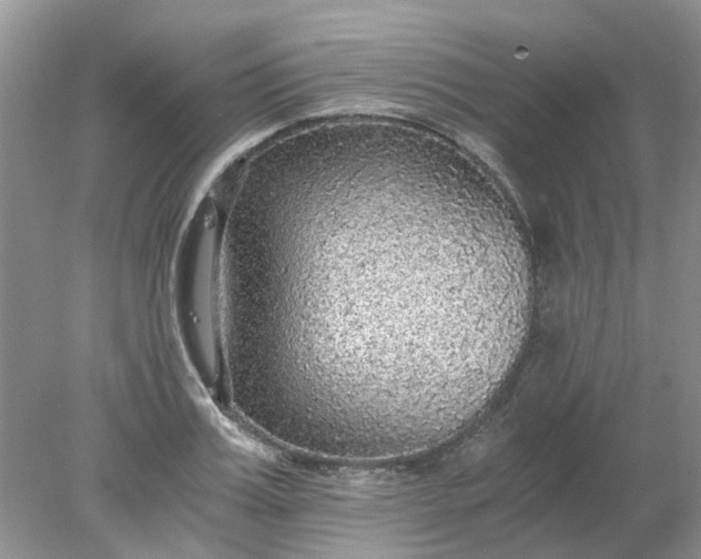 X0000078280987200611172052