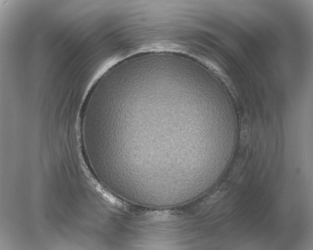 X0000078280990200611172052