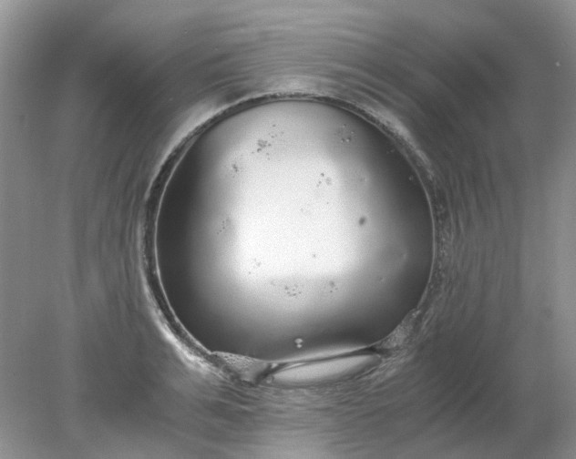 X0000078280991200611172052