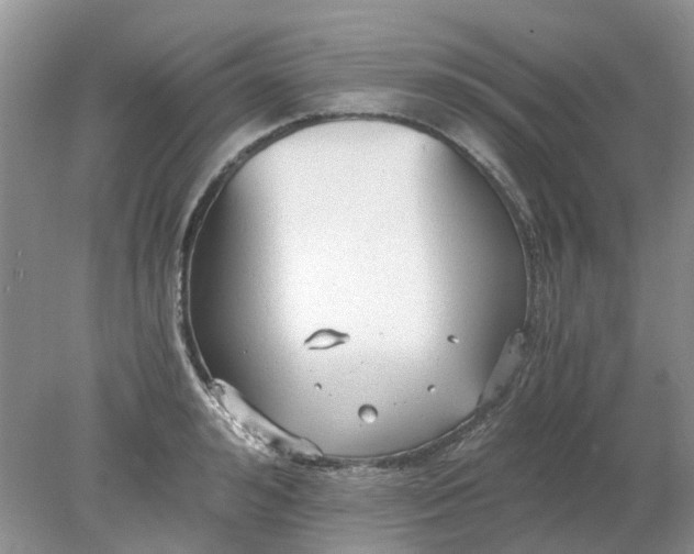 X0000078280992200611172052