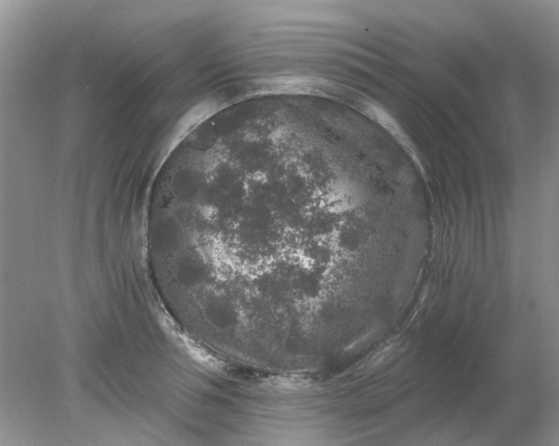 X0000078280994200611172052