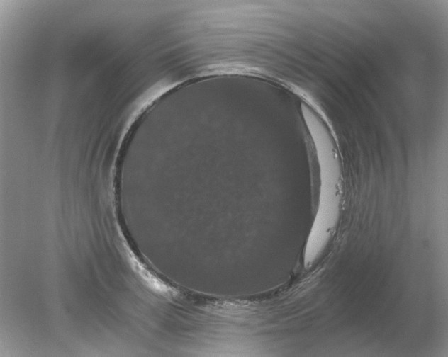 X0000078280995200611172052