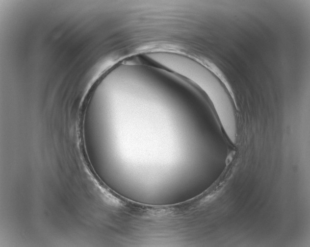 X0000078280997200611172052