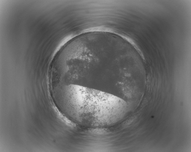 X0000078280998200611172052