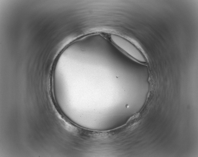 X0000078280999200611172052