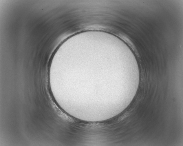 X0000078281000200611172052