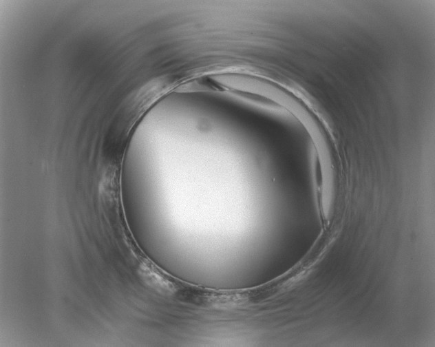 X0000078281001200611172052