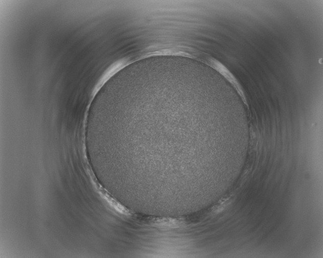 X0000078281002200611172051