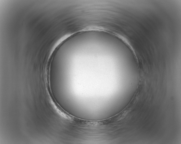 X0000078281003200611172051