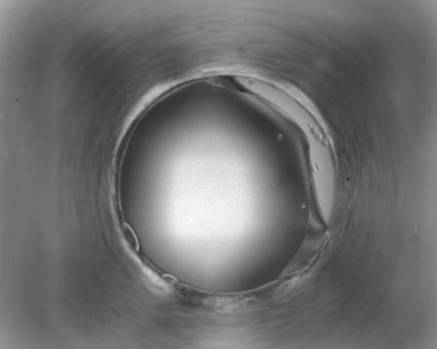 X0000078281005200611172051