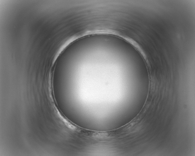 X0000078281006200611172051