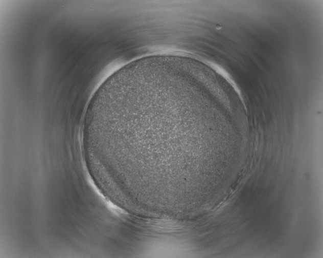 X0000078281007200611172051