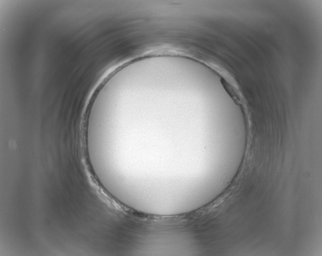 X0000078281008200611172051