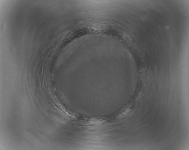 X0000078281009200611172051