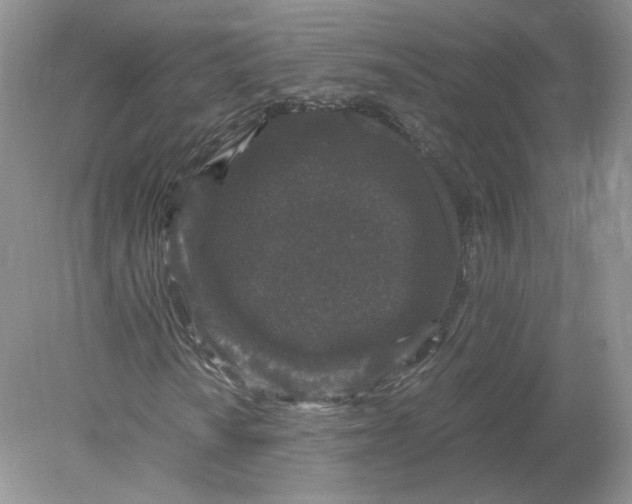 X0000078281010200611172051