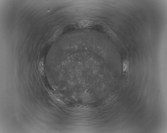 X0000078281011200611172051