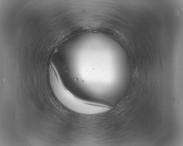 X0000078281012200611172051