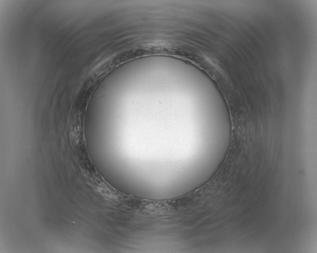 X0000078281015200611172051