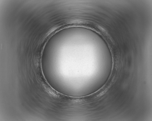 X0000078281017200611172051