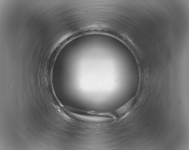 X0000078281018200611172051