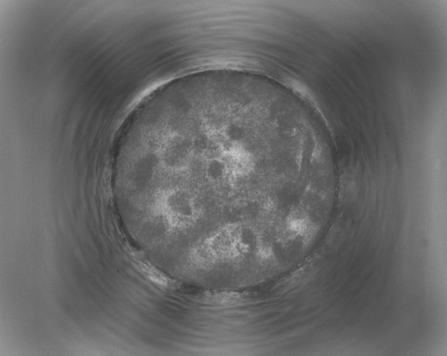 X0000078281019200611172051