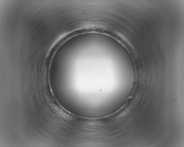 X0000078281021200611172051