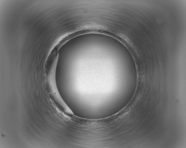 X0000078281022200611172051