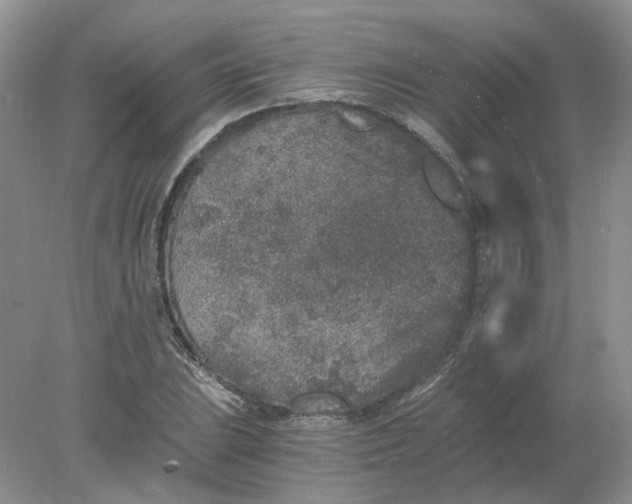 X0000078281023200611172051