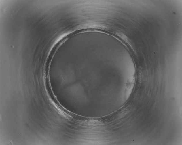 X0000078281024200611172051