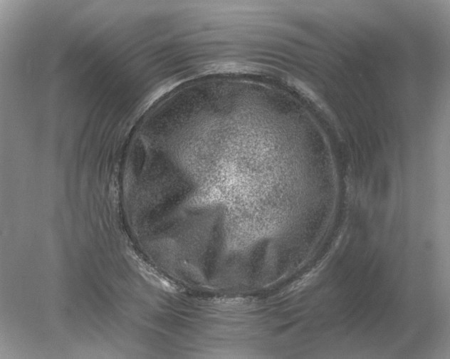 X0000078281025200611172051