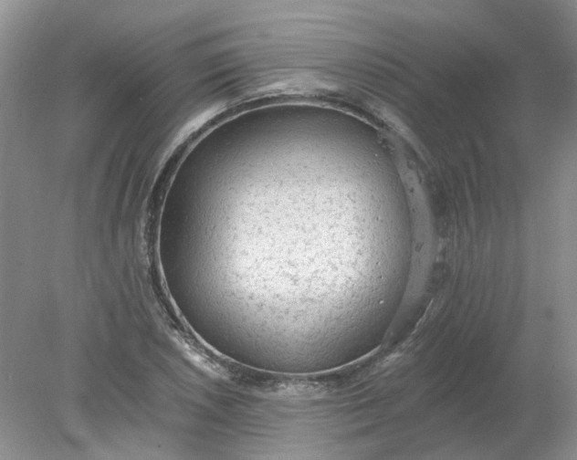 X0000078281026200611172051