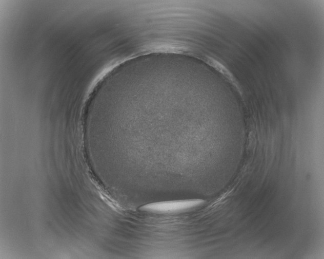 X0000078281027200611172051