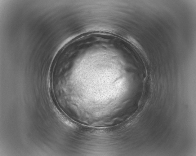 X0000078281028200611172051