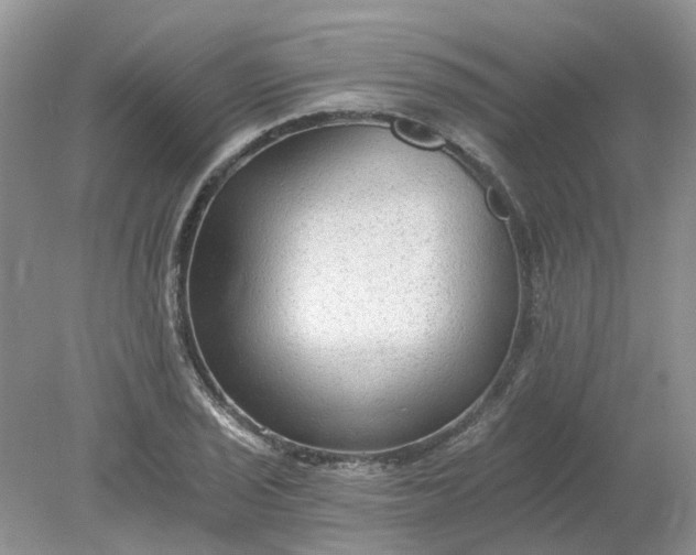 X0000078281029200611172051