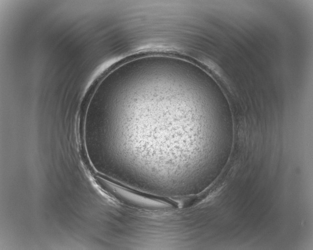 X0000078281030200611172051