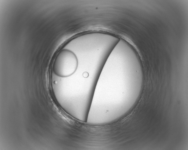 X0000078281032200611172051