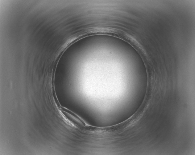 X0000078281033200611172051