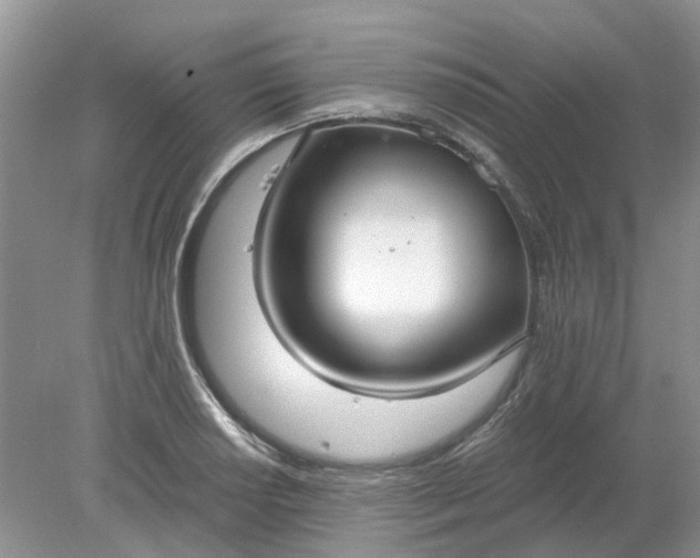 X0000078281034200611172051