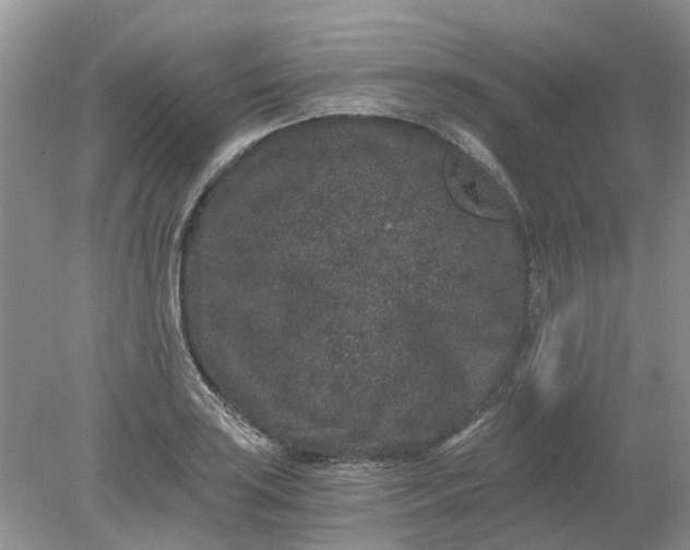 X0000078281035200611172051