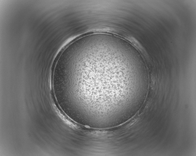 X0000078281036200611172051