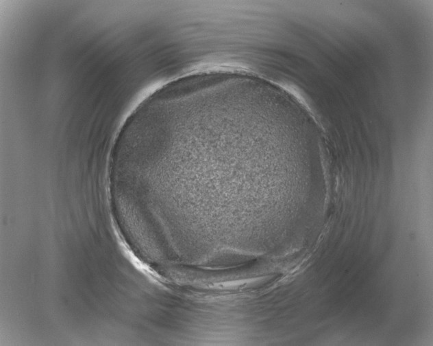 X0000078281038200611172051