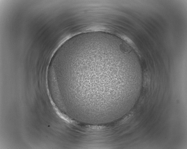 X0000078281039200611172051